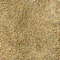 エコカラット　ほんつちかべ6