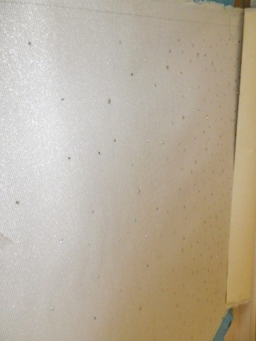スワロフスキーのクロス 壁紙 をトイレに張ってオシャレにしましょう 壁紙 クロスの張替え専門店 Myクロス福岡