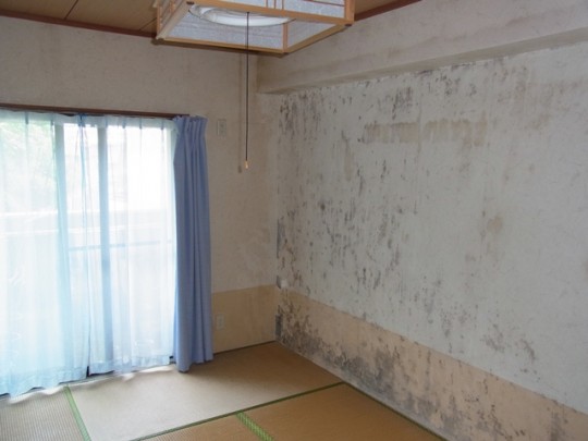 マンションのお部屋にカビ対策してますか In福岡 壁紙 クロスの張替え専門店 Myクロス福岡