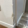 賃貸アパートペット壁補修