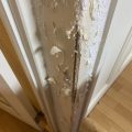 ネコ爪とぎ跡補修工事