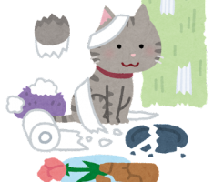 ペット傷補修 福岡