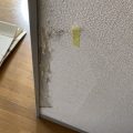 賃貸 猫 傷 補修 福岡