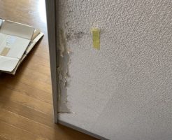 ペットに付けられた壁のキズの補修 の記事一覧 壁紙 クロスの張替え専門店 Myクロス福岡
