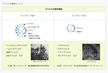 抗ウィルス床材貼替え