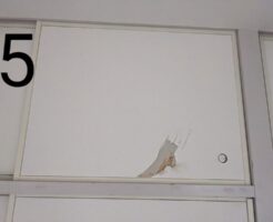 賃貸マンションペット補修工事 福岡